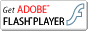 AdobeFlashPlayer�����
